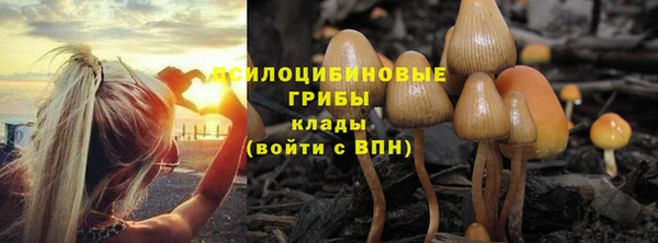 соль ск Алексин