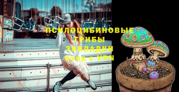 эйфоретик Алексеевка