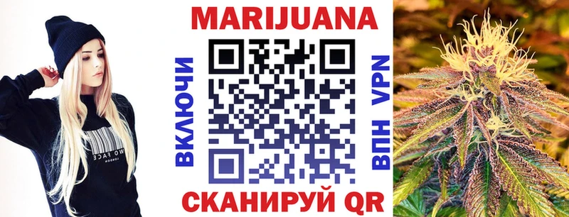 Канабис сатива  Заволжск 
